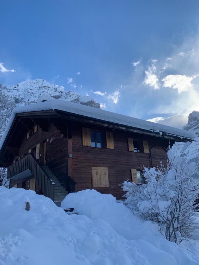 Chalet Sunneblick Grindelwald Exteriér fotografie