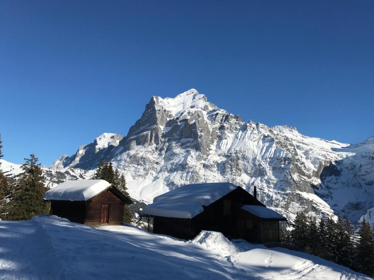 Chalet Sunneblick Grindelwald Exteriér fotografie