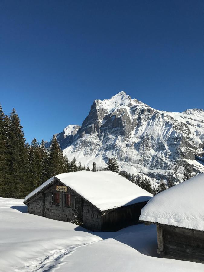Chalet Sunneblick Grindelwald Exteriér fotografie