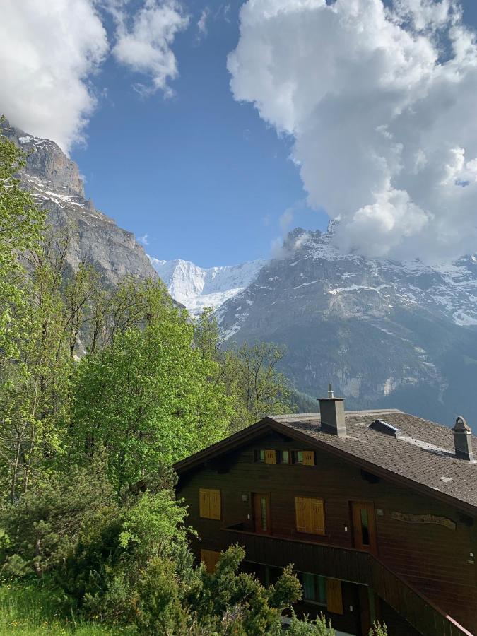 Chalet Sunneblick Grindelwald Exteriér fotografie